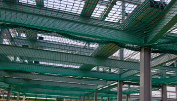 bird mesh
